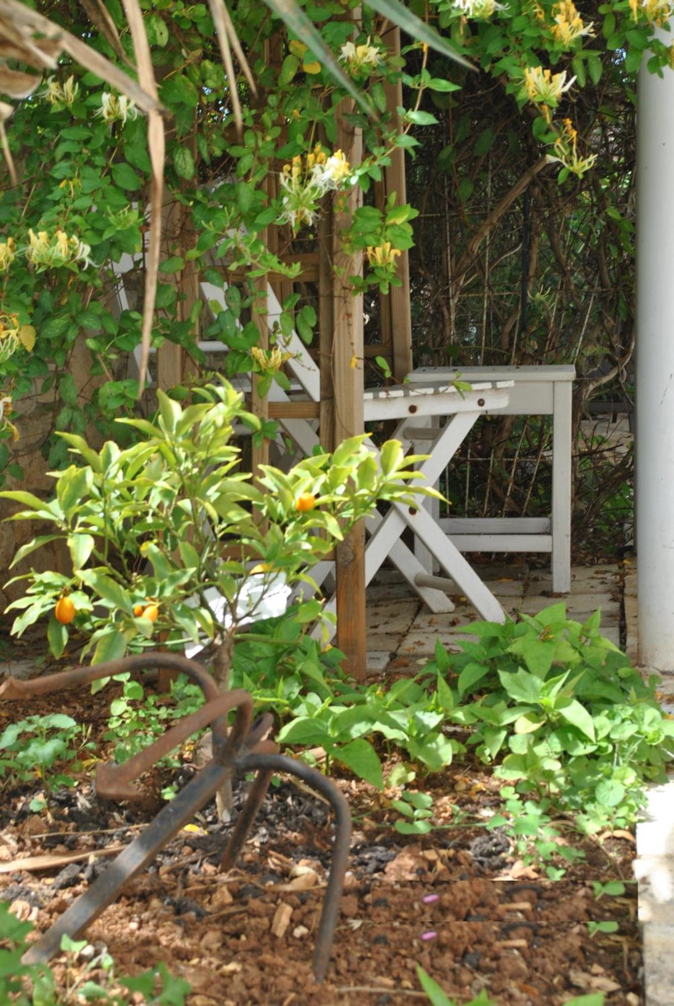 Villa Marizella Premantura Ngoại thất bức ảnh